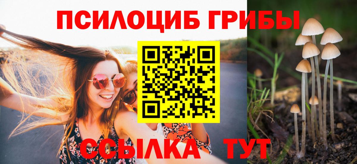 Галлюциногенные грибы Psilocybe  Галлюциногенные грибы мицелий  Верхняя Салда  Вход с VPN 